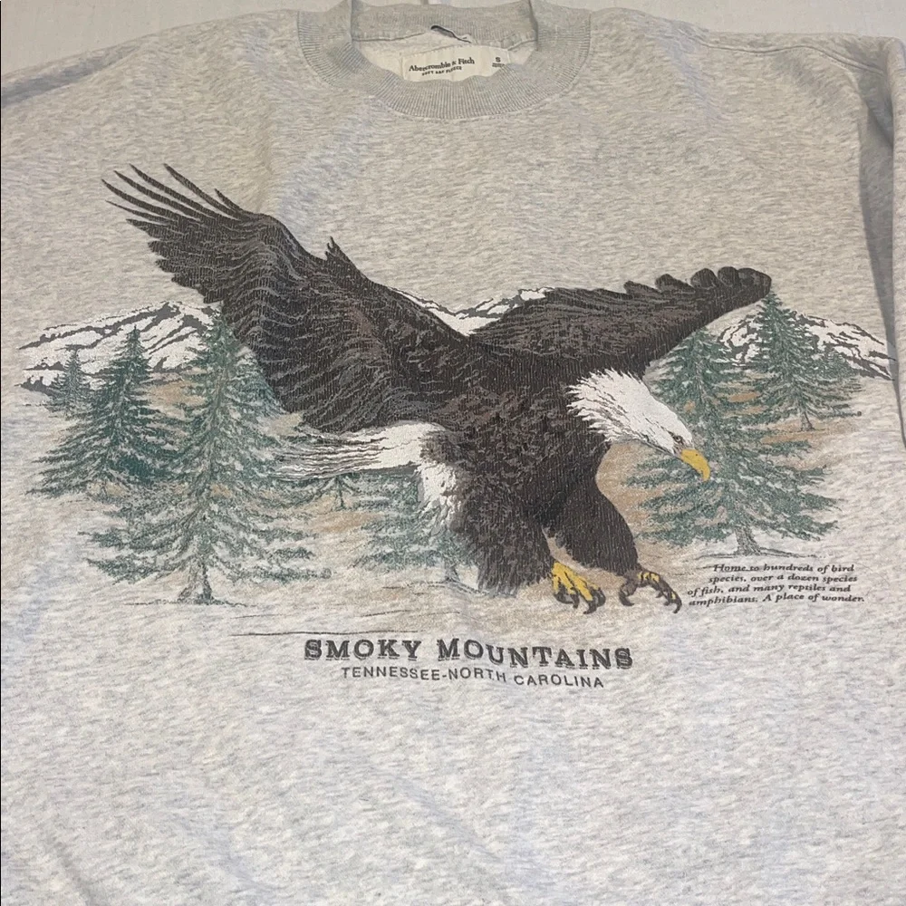 T0102107 A&F Smoky Mountains Tennessee North Carolina sweatshirt Oversized SZ S - Picture 2 of 6